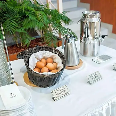 Garden Wellness Es Konferencia ホテル ソルノク