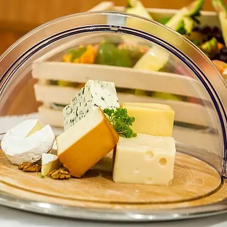 Garden Wellness Es Konferencia 4* ソルノク