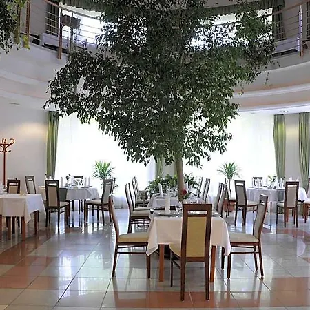 ホテル Garden Wellness Es Konferencia 4*