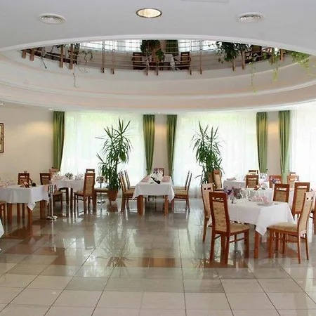 מלון Garden Wellness Es Konferencia 4*