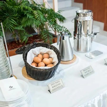 Hotel Garden Wellness és Konferencia Szolnok