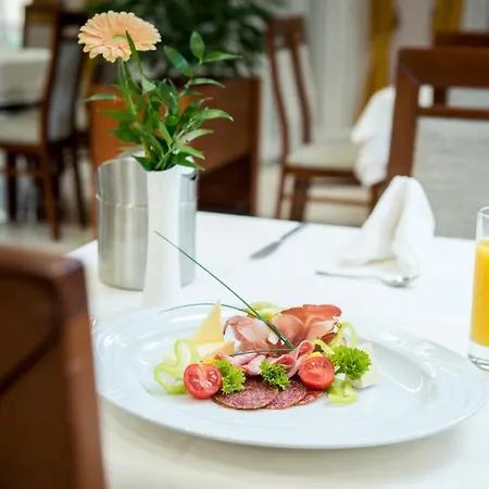 Garden Wellness Es Konferencia 4* ソルノク