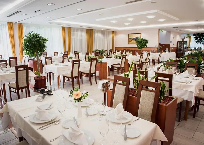 Garden Wellness Es Konferencia 4* Szolnok